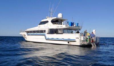 Abrolhos islands boat charters
