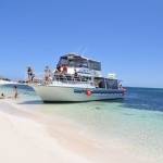 Luxury Boat Hire Rottnest Island Charters and Tours