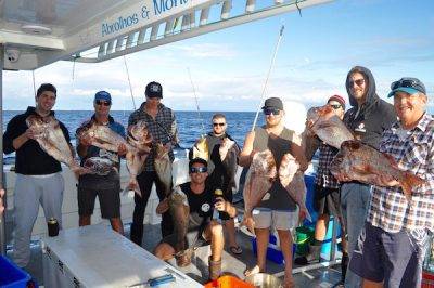 abrolhos island fishing