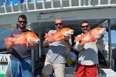 Perth Fishing charters