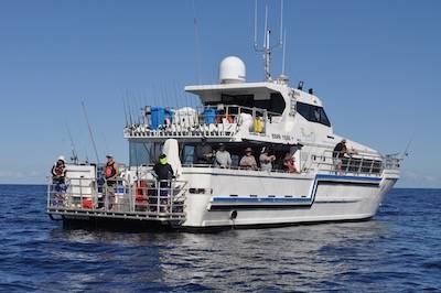 Live aboard trips Western Australia