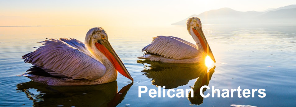 pelican charters frequently asked questions FAQ