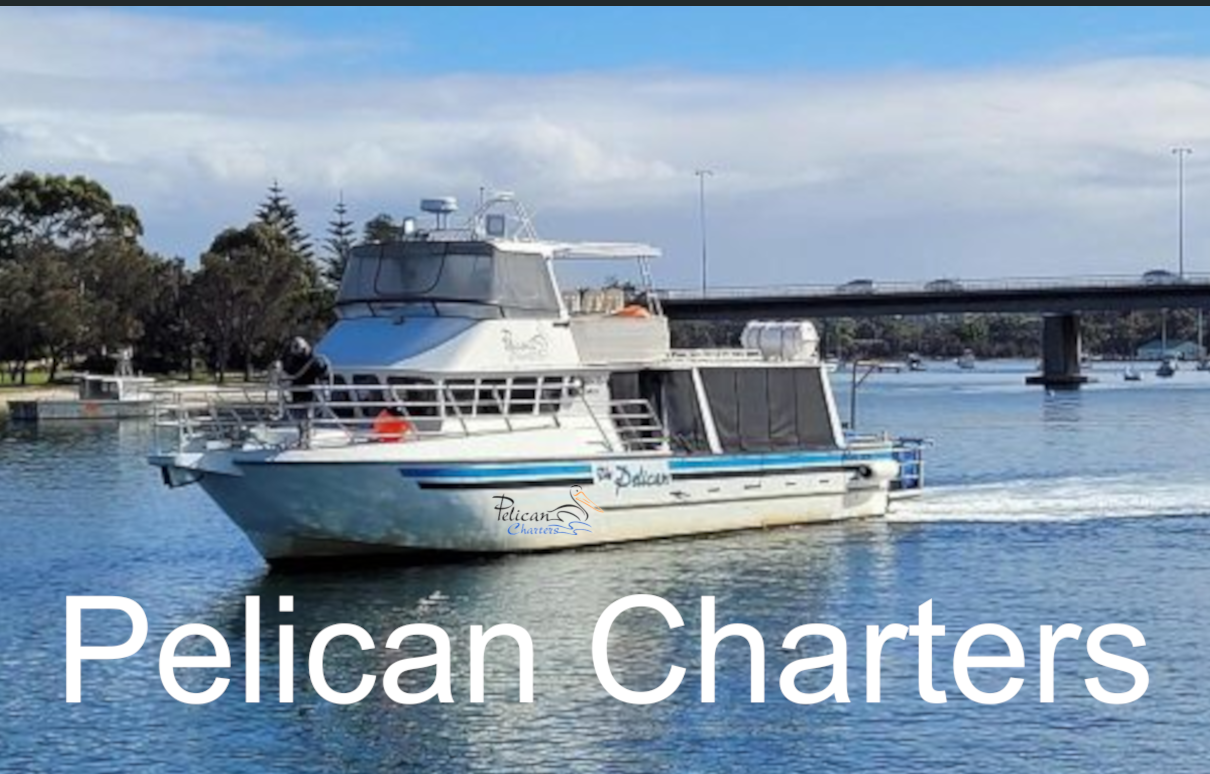 pelican charters luxury boat hire wa au